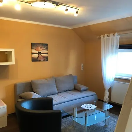 Hotel-restaurant Zum Schuetzen 3* Baiersbronn