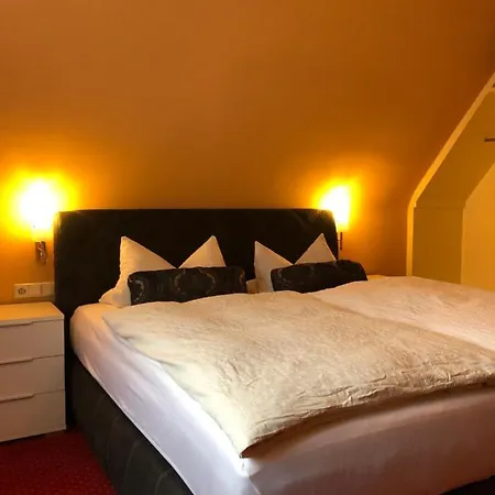 Hotel-restaurant Zum Schuetzen 3* Baiersbronn
