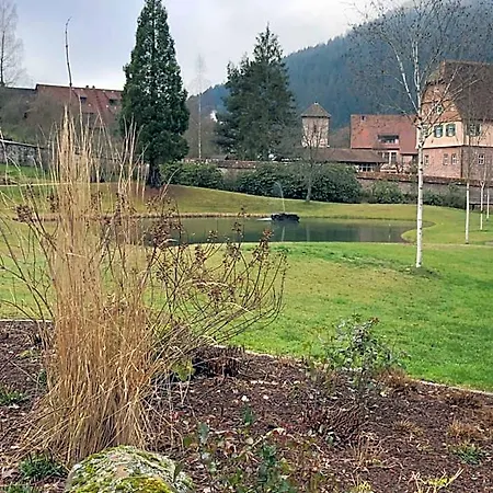 Hotel-restaurant Zum Schuetzen 3* Baiersbronn
